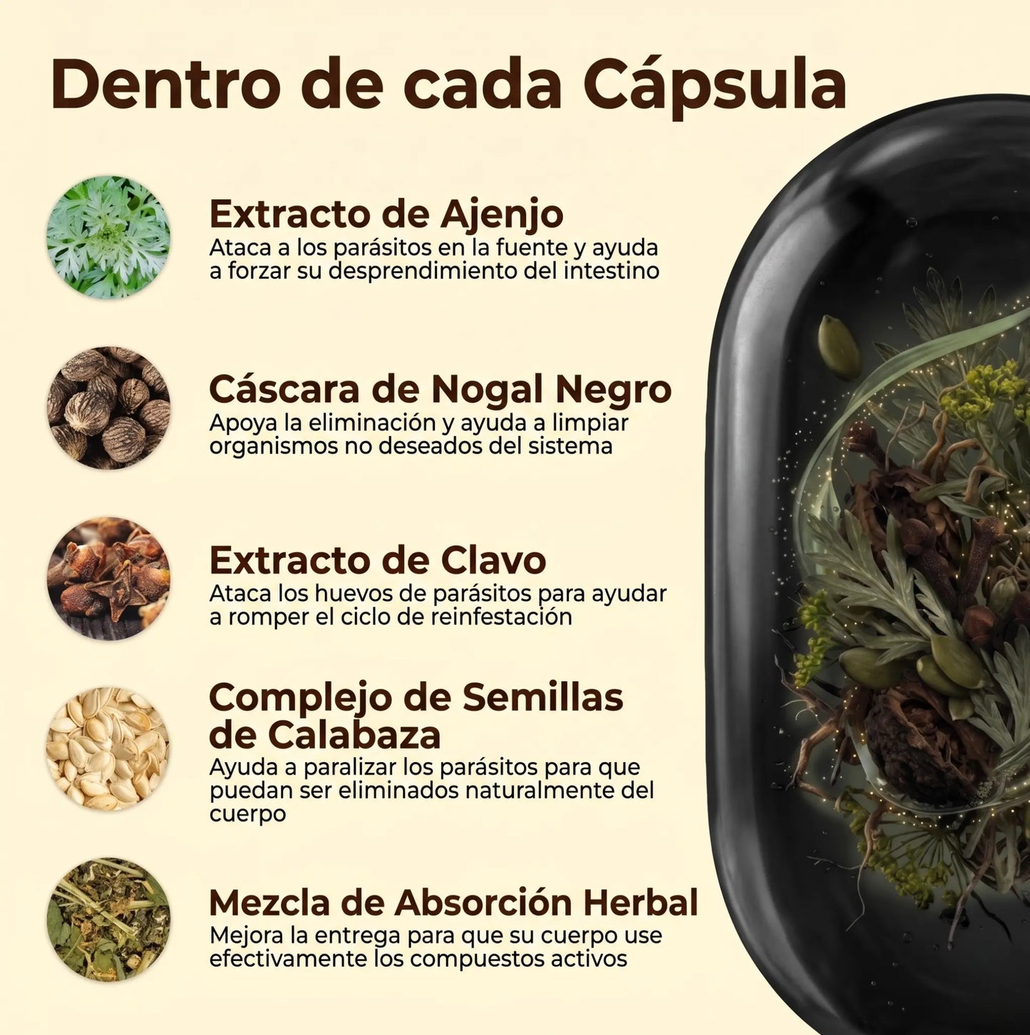 Expulsa parásitos y larvas en 14 días con la fórmula de ajenjo, nogal negro y clavo